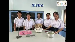 SAS024 Study of zinc oxide concentration on cellulose pellets prepared from bagasse.