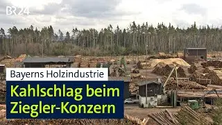 Bayerns Holzindustrie: Kahlschlag beim Ziegler-Konzern | BR24