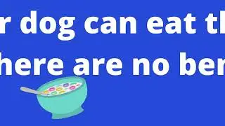 Can a Dog Eat Froot Loops   Barkmind