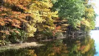 Foliage ~ Western Massachusetts