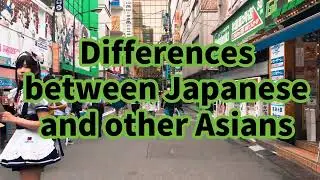 Differences Between Japanese and Other Asians: A Cultural Comparison