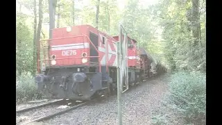 HGK DE 76 (272 015-5 ) MaK DE 1002 mit Schüttgutwagen im Kölner Stadtwald #br272 #rangierlok #br272