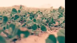 حفر الباطن عام1441