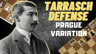 The Tarrasch Defense, Prague Variation - Main Strategical Ideas and Plans