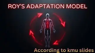 Roy&rsquo;s Adaptation Model of Nursing Lec 2