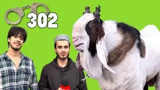 302 - Pune Ka Sabse Khatarnak Self Feeding Kota at Ya Ali Goat Farm