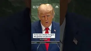 Trump says climate change is 'the greatest con job ever'