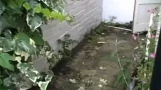 Evicted Tenants destroy Rental Property