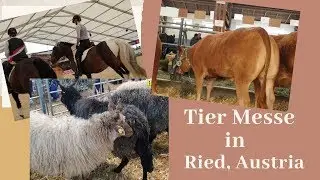 #Messe #Ried Die RIEDER MESSE 2019 | JK ECK