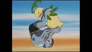 Pokemon: Bayleef vs Machoke