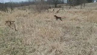 GSP RESCUE LEO