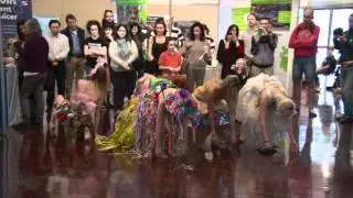 Evolve Dance Performs in Trashions by Marina DeBris