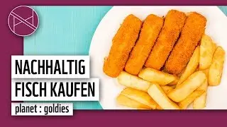 Nachhaltig Fisch kaufen: MSC, ASC oder bio? Welchen Fisch essen? | planet : goldies | planet : panda