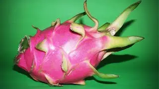 Pitaya | Fruta do drag&atilde;o com muito Exotismo