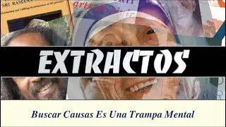 Buscar Causas Es Una Trampa Mental