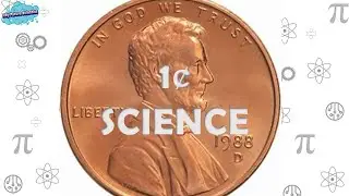 How to teach your kids about surface tension: an experiment