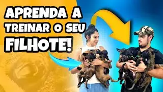 APRENDA A TREINAR O SEU FILHOTE!