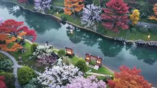 Breathtaking Aerial View of a Colorful Magical Forest Inspired by Japanese Aesthetics
