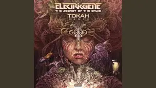 The Secret Of The Druid (Tokah Remix)