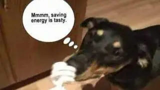 How to Raise an Energy Efficient Human