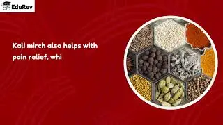 Spices that Heal Us | English for Class 6 (Poorvi) | NCERT 2025 Edition