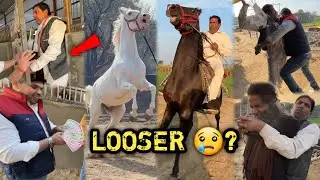 Paiso Ke Chakkar Mai Itne Acche Ghode Ke Saath Kya Kardiya 🥺💔Fir Bhi Haar Gye 😞