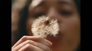 First Response Early Result | Dandelion