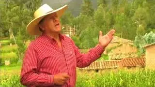 Walter Humala - Viejo eucalipto