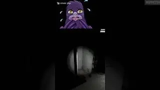 Phasmo Flydays Pt. 1 #gaming #phasmophobia #twitch