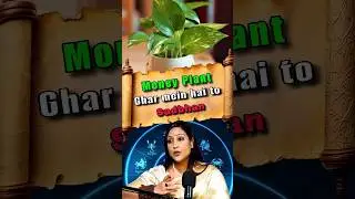 Money Plant 💸☘️ घर में है तो साधन ⚠️ ही जाइए #shorts