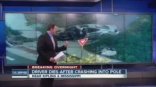 Driver hit pole, died in crash