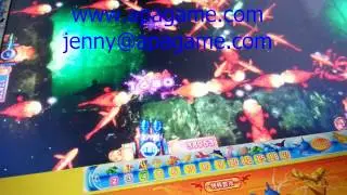 IGS Fish Hunter Ultimate Edition 1000 shoots fishing game machine