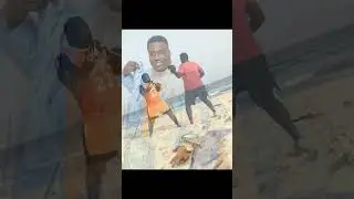 🎥 Sa Thi&egrave;s, le lion de Thi&egrave;s dans l&rsquo;ar&egrave;ne ! 🦁💪 Originaire de Thi&egrave;s, Sa Thi&egrave;s est en pleine ascension