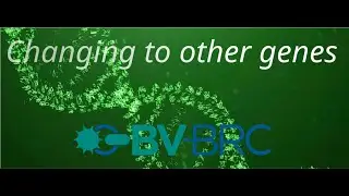 Changing to a different gene within the Compare Region Viewer.