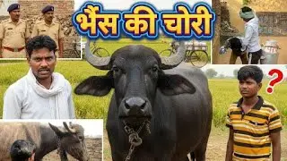 भेस कि चौरी #comedyadda #newvideo #viral #creativecontentcreator #nitinkicomedy #popular #creator 