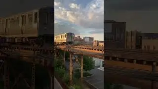 Chicago &ldquo;L&rdquo; Blue Line Train #shorts #trains #chicago