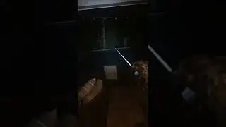 Airsoft in the dark! #fullauto #airsoft #tracer #novritsch #viral #trending #shorts