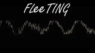 FLeeTING | Original Music by WereWING11