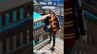 Pier 39 in San Francisco California #usa #travel #fromflorida #pinoy #travelvlog