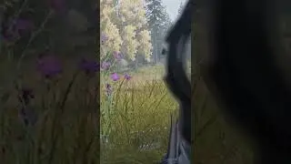 The Power of 1440p in Squad
