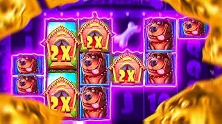 ПУТЬ 1.000 ЗАКРЫЛИ ВСЁ ПОЛЕ СИНИМИ С В THE DOG HOUSE MEGAWAYS  / ЗАНОС НЕДЕЛИ