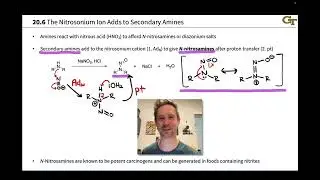 Reactions of Amines with Nitrous Acid