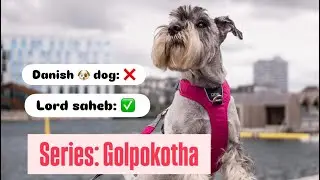 Lord Saheb the Danish Dog 🐶😂 | Most Funny Bengali Dog Video