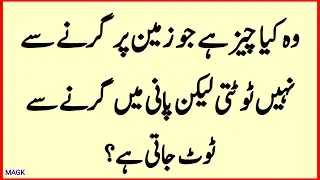 Paheliyan Common Sense Question Answers || Urdu GK Sawal Jawab and Riddles Puzzles #paheli #quiz 