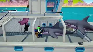 Flying Sharks and We Need a Bigger Boat!!