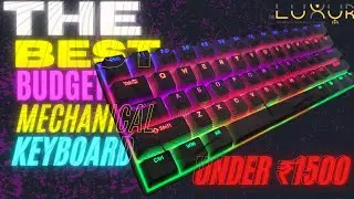 60% Mechanical RGB Gaming Keyboard | Blue Switch/Red Switch | 24 Lighting Modes | 61 Keys| Dr Luxur