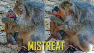 Trillion Pity! Pitiful Monkey Jade Mistreat Little Baby Monkey Jinx Crying Loudly