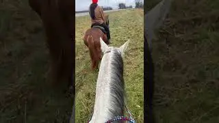 Live Trail Ride | POV Horseback Riding #horse #farming #livestream #equestrian #cowboys #live #wow 