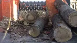 CIPPATRICE CHIPPER ENERGY 50-75 CON MOTORE