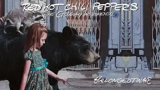 Red Hot Chili Peppers - The Longest Wave (Guitar Backing Track)